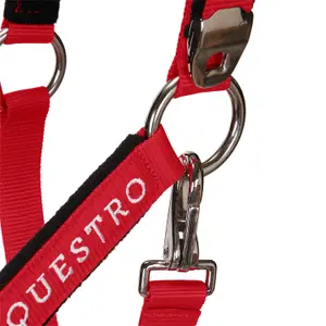 Cabestro para caballo con longitud Equestro Modello Shiny Fittings image-5