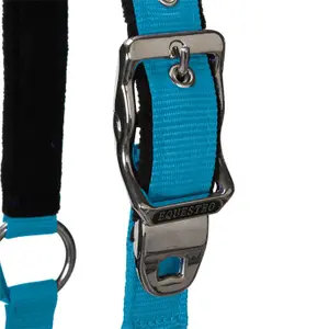 Cabestro para caballos Equestro Shiny Fittings image-2