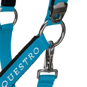 Cabestro para caballos Equestro Shiny Fittings image-5