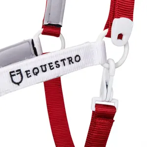 Χαλίκι για άλογο + λουρί Equestro Flaggy image-2