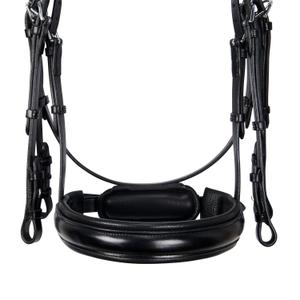 Anatomisches Dressurtrense für Reiten Equestro image-2