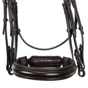 Anatomisches Dressurtrense für Reiten Equestro image-3