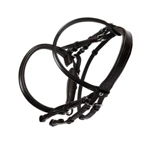 Anatomisches Dressurtrense für Reiten Equestro image-4