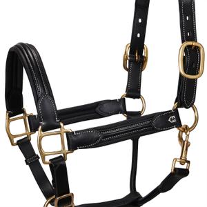 et05450-black-superior-leather-horse-bridle-equestro-et05450-black