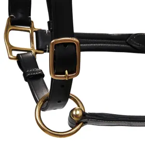 Licol pour cheval supérieur en cuir Equestro image-1