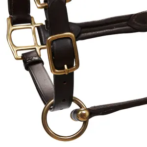 Licol pour cheval supérieur en cuir Equestro image-2