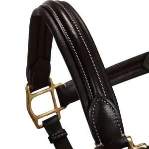 Licol pour cheval supérieur en cuir Equestro image-4