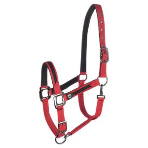 product/e/q/equestro_et08600-red_et08600-red_1.jpg