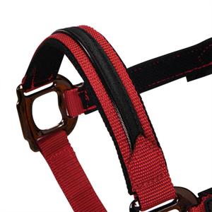 product/e/q/equestro_et08600-red_et08600-red_3.jpg