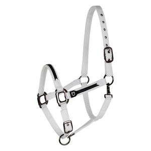 et08600-white-ensemble-licol-en-nylon-et-longe-pour-cheval-en-nylon-equestro-et08600-white