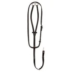 Martingale voor paard met contrasterende stikken Equestro image-0