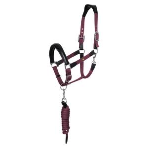 eth03002n-black-burgundy-set-aus-halfter-und-longiergurt-fur-pferde-equestro-ergonomic-lani-new-black-burgundy