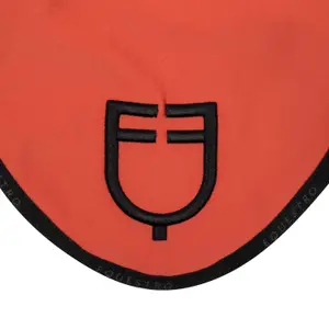 Paardenvliegen hoed Equestro Gp image-4