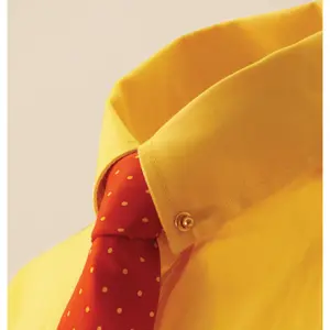 Necklace and chain Equetech image-1