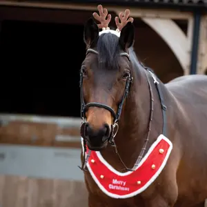 Zubehör für Pferdegeschirr aus Rentierholz für Kinder Equetech image-1