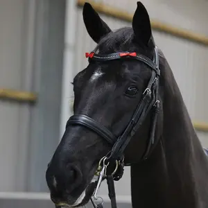 Waarschuwingslint voor paarden Equetech (x4) image-2
