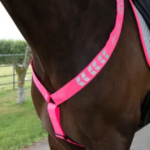 Jagdhalsband für Pferde Equi-Flector image-0