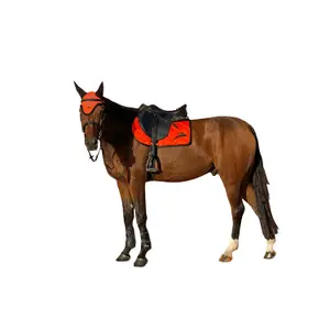 Χαλάκι CSO eQuick image-0