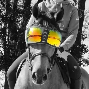 Verres de rechange lunettes cheval eQuick eVysor image-0