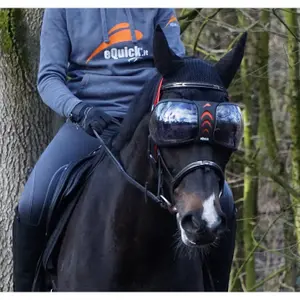 Paardenbril eQuick eVysor image-5