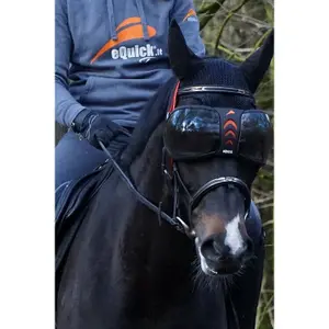 evysor2-brille-pferd-equick-evysor-dark-tu