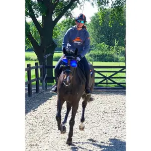 Lunettes cheval eQuick eVysor image-3