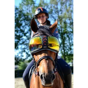 Brille Pferd eQuick eVysor image-0