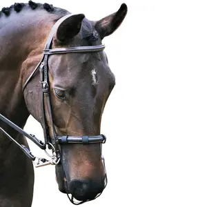 155005-noir-anti-zensus-nasenschutz-equilibrium-schwarz