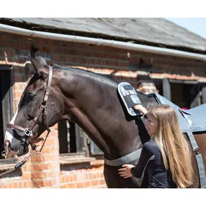 Luvas de massagem para cavalos Equilibrium image-4