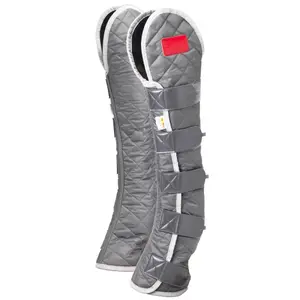 Hoge magnetische paardenlaarzen Equilibrium image-0