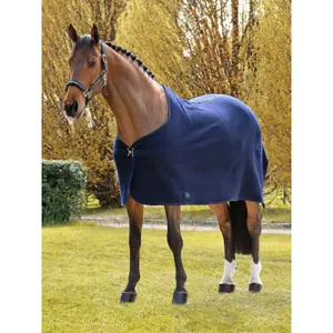 Outdoor  Blanket Equiline Wool image-1