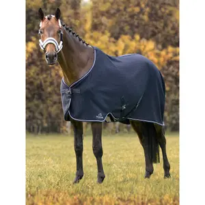 Walker Blanket Equiline Climate Control