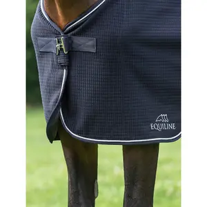 Walker Blanket Equiline Climate Control image-1