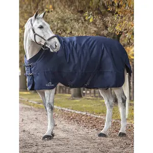 Waterproof Horse Walker Cover Equiline Calantha 200g image-1