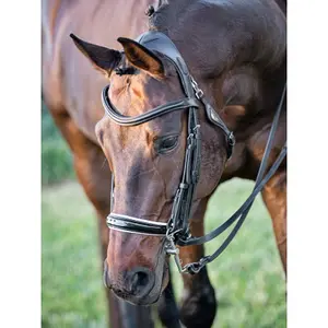 Riding bridle Equiline Ready To Ride image-1