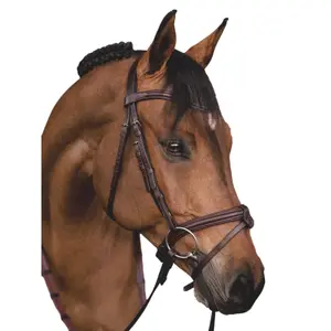 Combined Noseband Bridle with Reins Equiline image-1