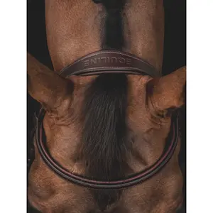 Combined Noseband Bridle with Reins Equiline image-2