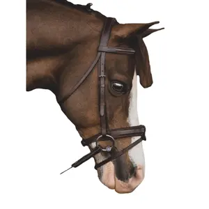 Combined Bridle with Noseband and Bit Equiline poney image-1