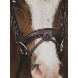Combined Bridle with Noseband and Bit Equiline poney image-2