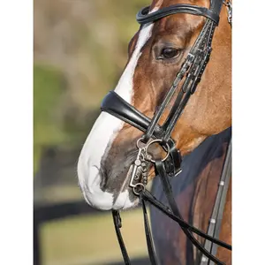 Muserolle Pferd schwedisch weich dreieckig Equiline image-1