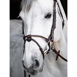 Nettobelopp för ridning Equiline image-1