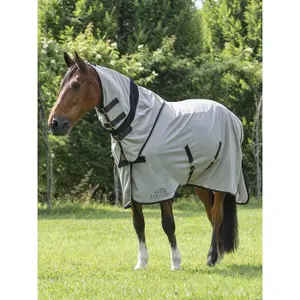 Anti-fly blanket with neck cover for horse Equiline Lemonfly image-0