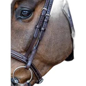 Rundade rätskivor för hästar Equiline (x2) image-0