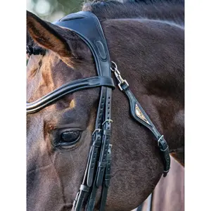 Brett, anatomiskt, trepunkts nackstöd Equiline image-2