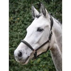 Anatomical horse halter with double leather lock Equiline image-1