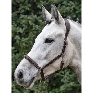 Anatomical horse halter with double leather lock Equiline image-1