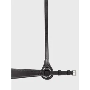 Hanoverian noseband horse Equiline image-1