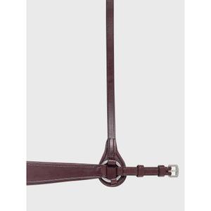 Hanoverian noseband horse Equiline image-1