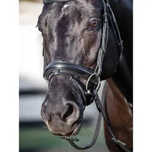 Muserolle cheval arrondie avec embout amovible Equiline image-2