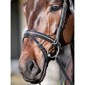 Hästnosband med guldkedja Equiline image-2